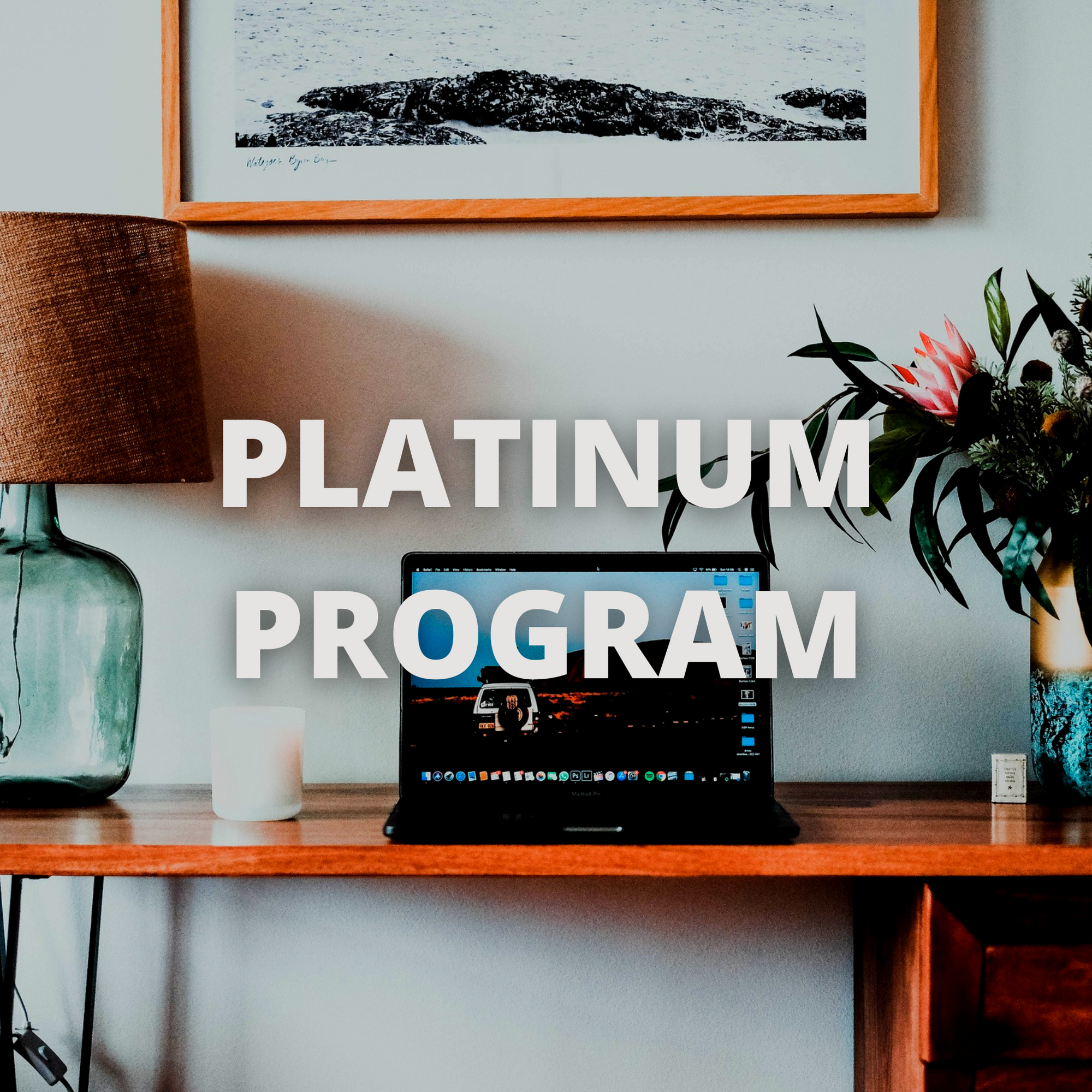 Platinum Package