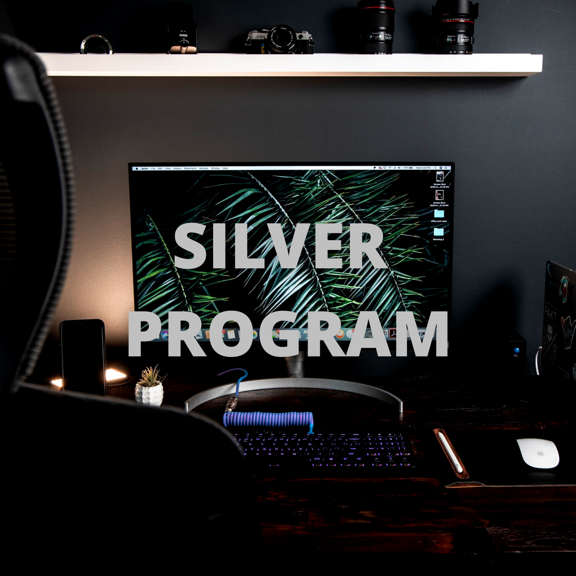Silver Package